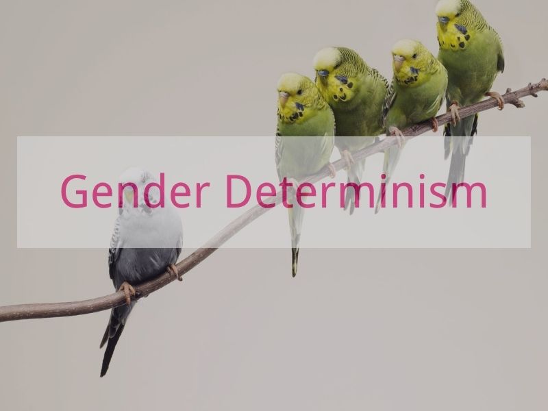 Gender Determinism