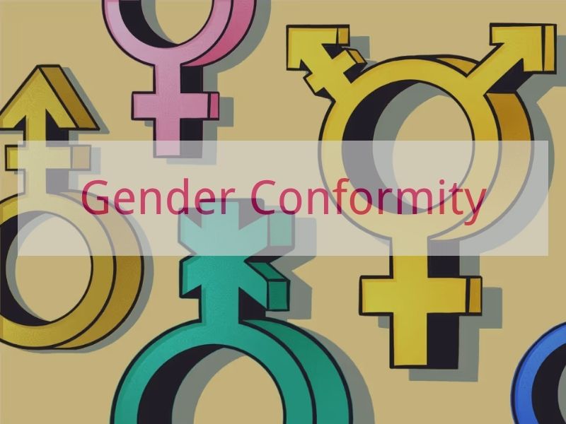 Gender Conformity