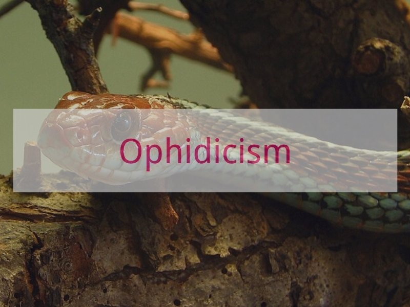 Ophidicism