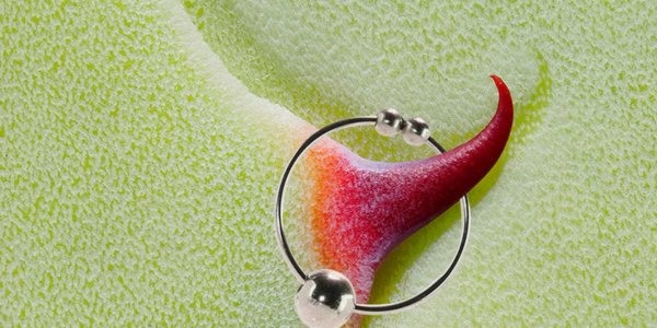 What is Nipple Torture