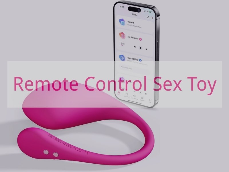Remote Control Sex Toy