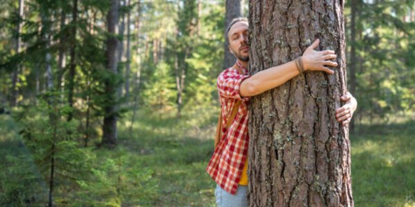 What is Dendrophilia