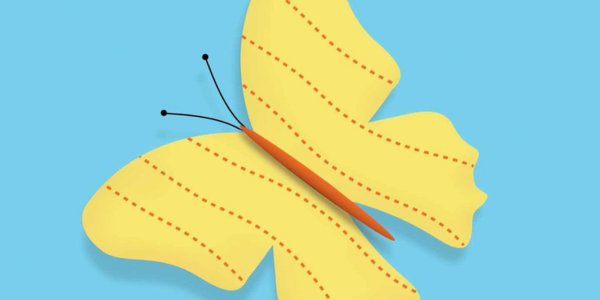 What is Female Genital Cosmetic Surgery