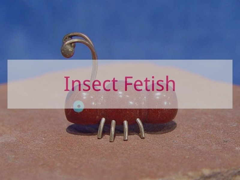 Insect Fetish
