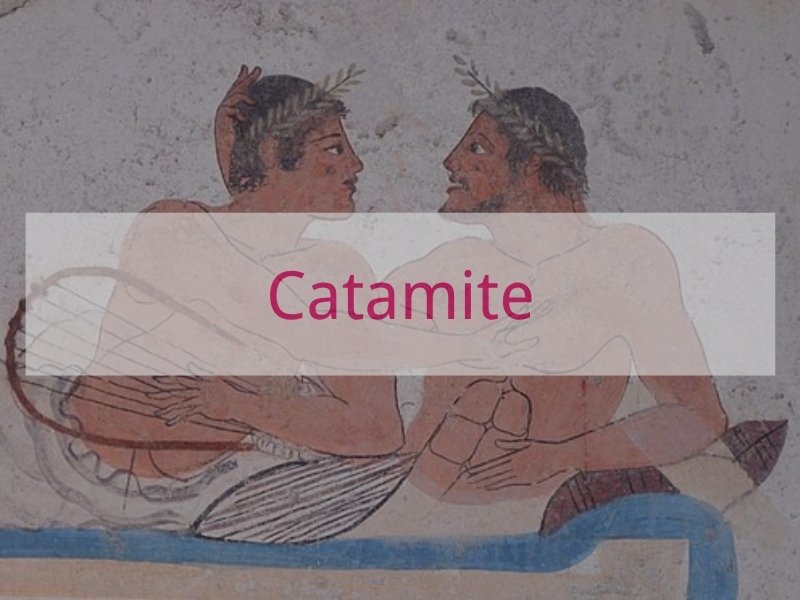 Catamite
