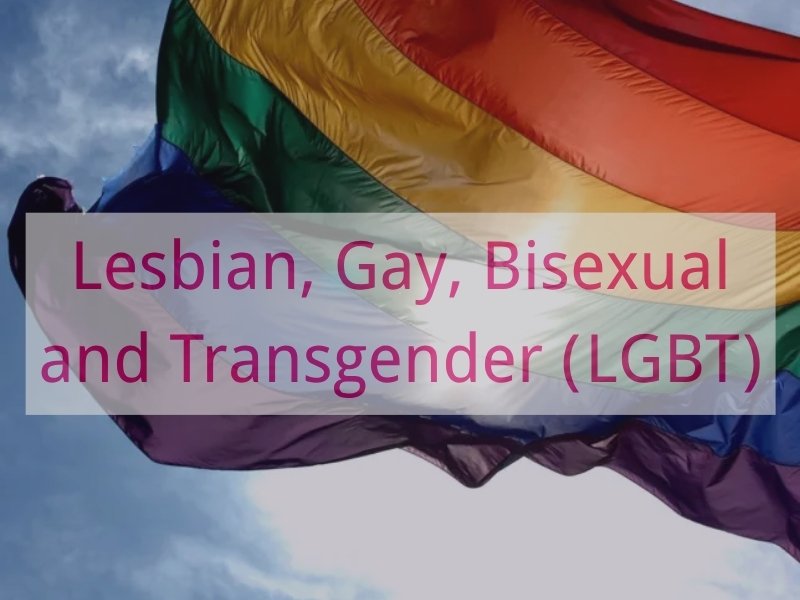 Lesbian, Gay, Bisexual and Transgender (LGBT)