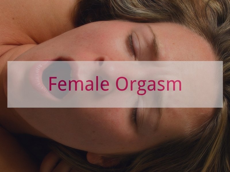 Female Orgasm