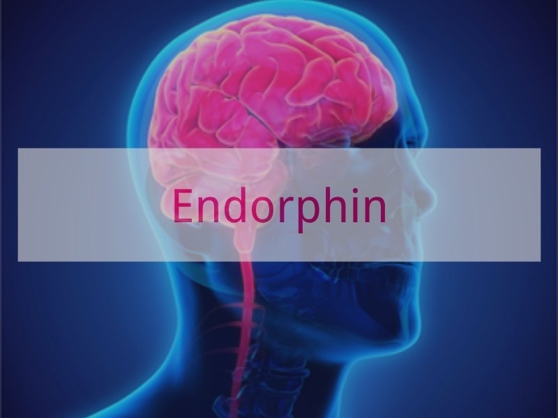 Endorphin