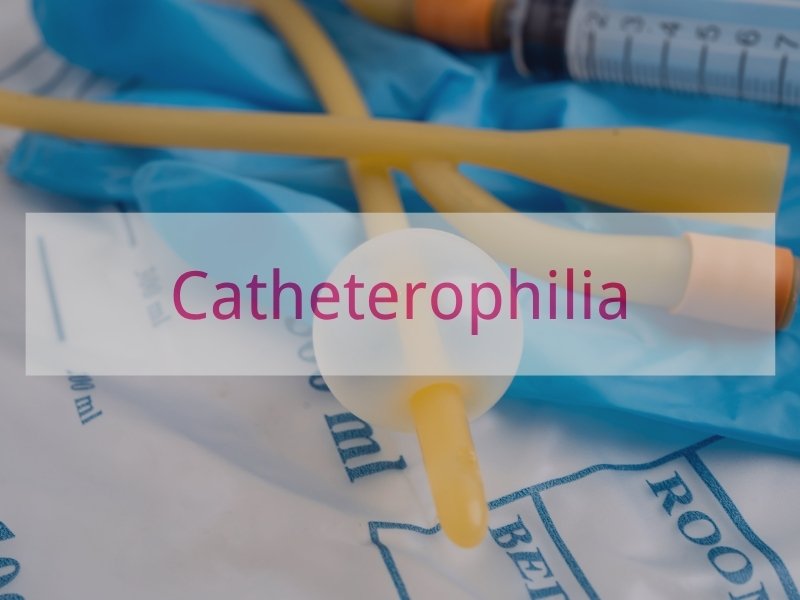 Catheterophilia