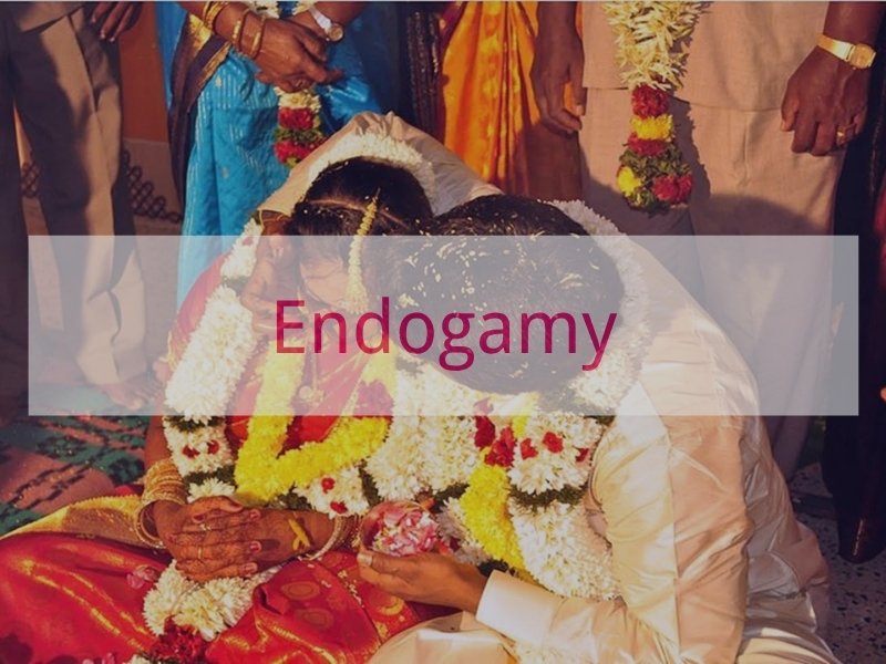 Endogamy