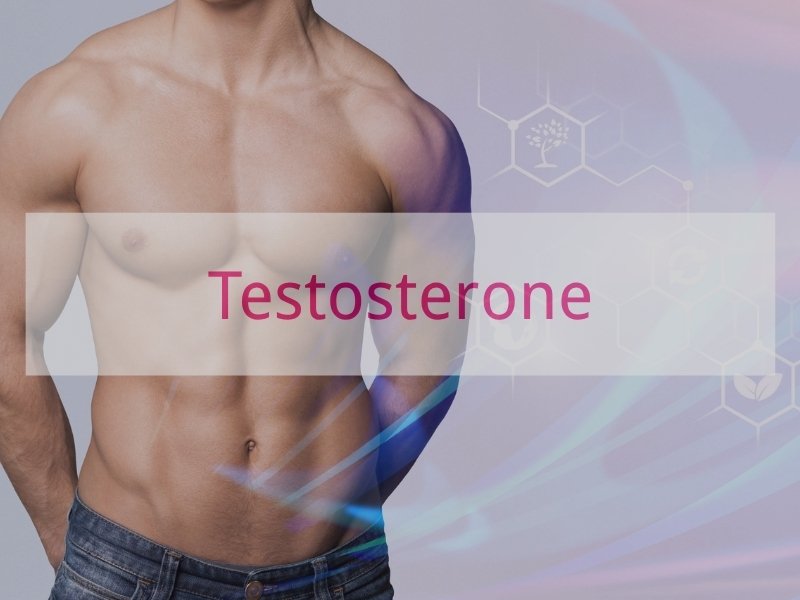 Testosterone