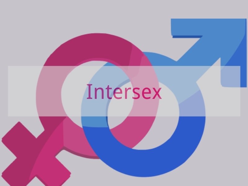 Intersex