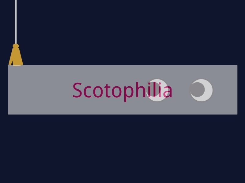 Scotophilia