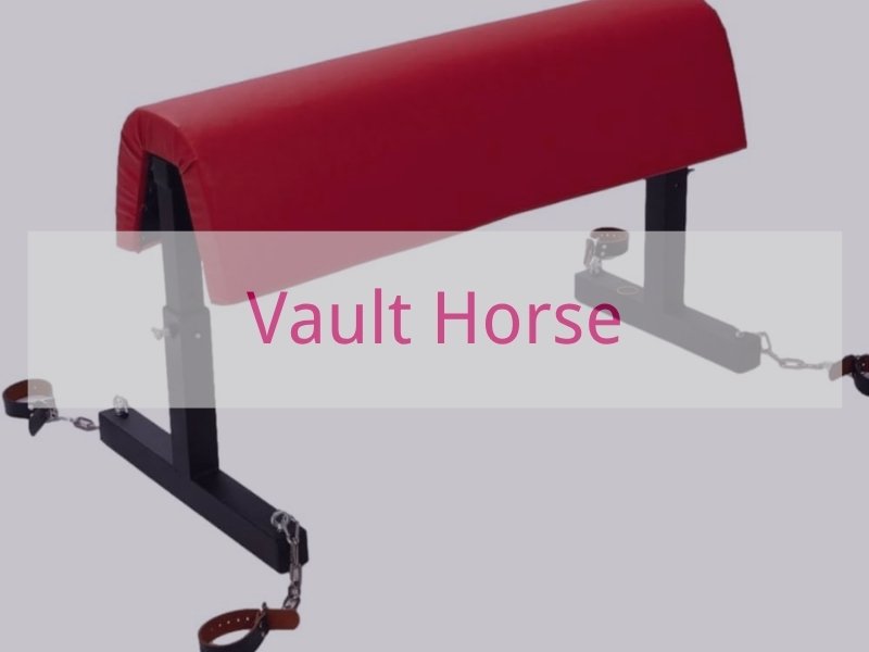 Vault Horse