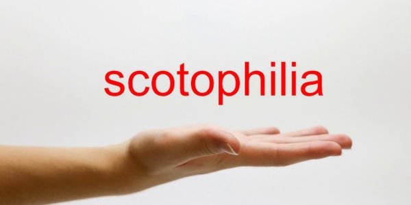 What is Scotophilia