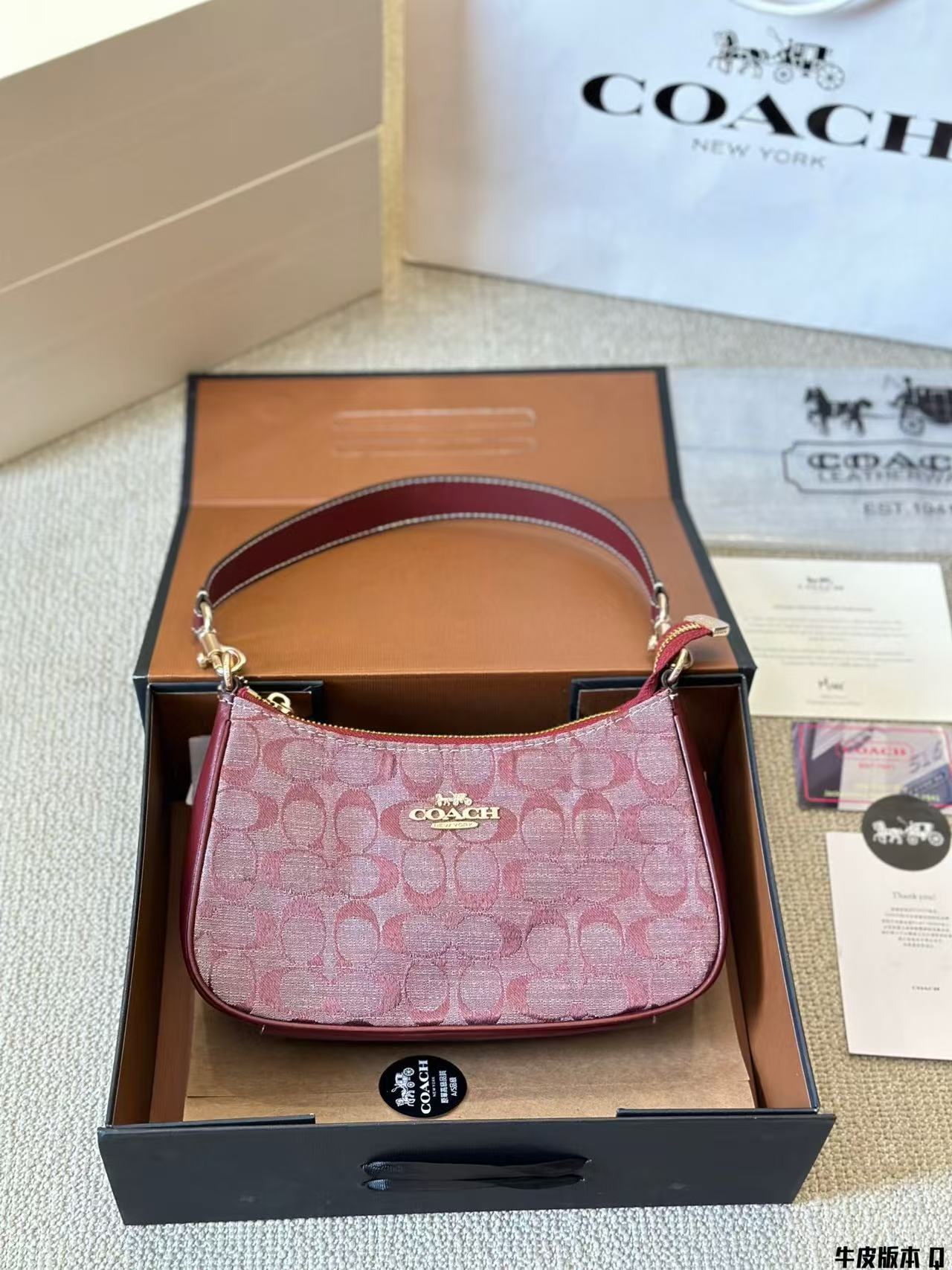 Coach Teri Underarm Bag