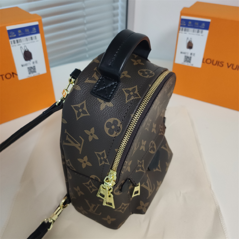 LV Replica Louis Vuitton Palm Springs Backpack