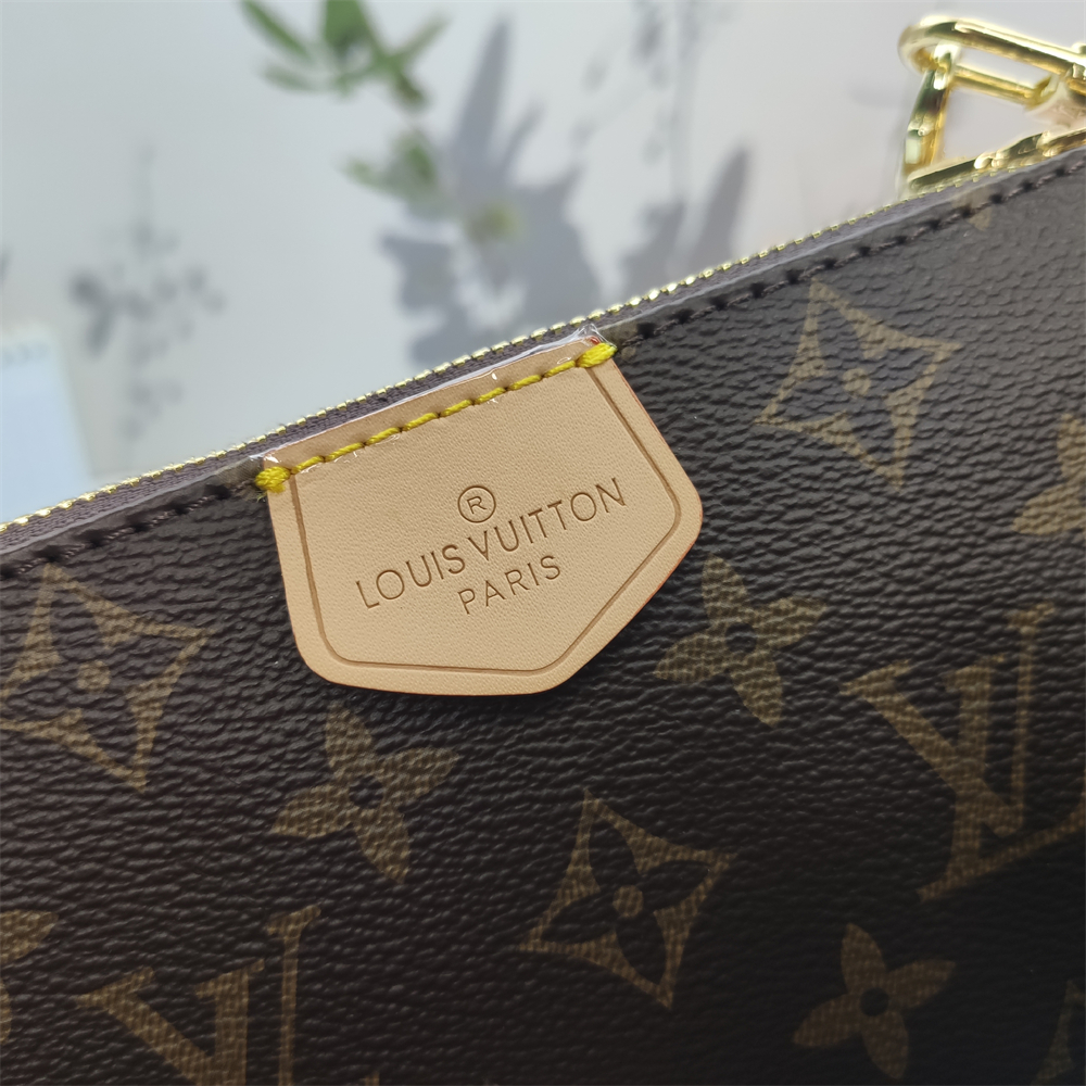 LV Louis Vuitton Multi Pochette Accessories bag
