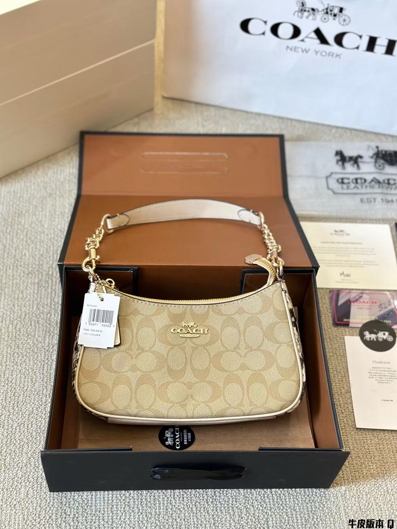 Coach Teri Underarm Bag