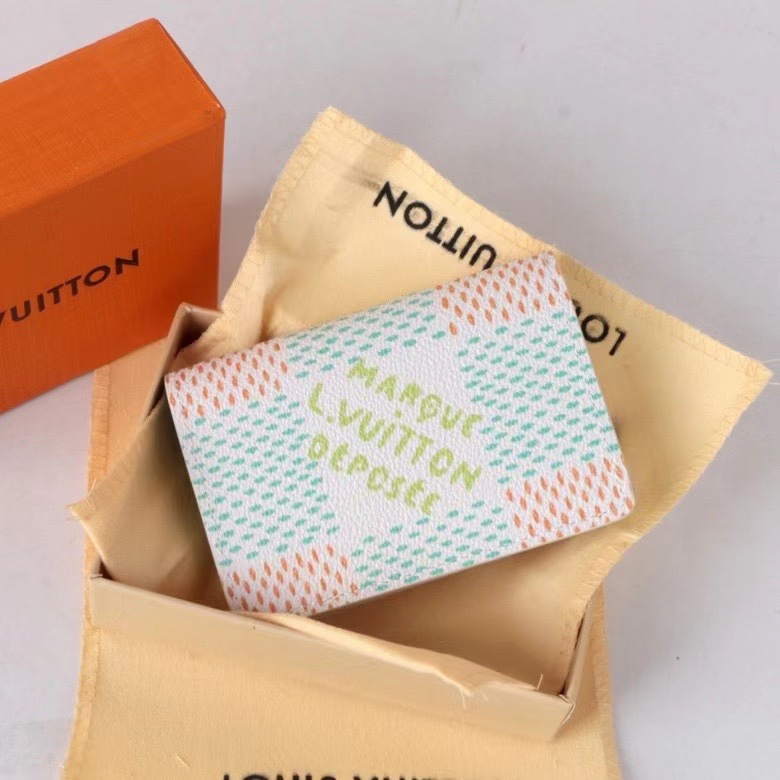 LV Damier Graphite Epi wallet Card holder