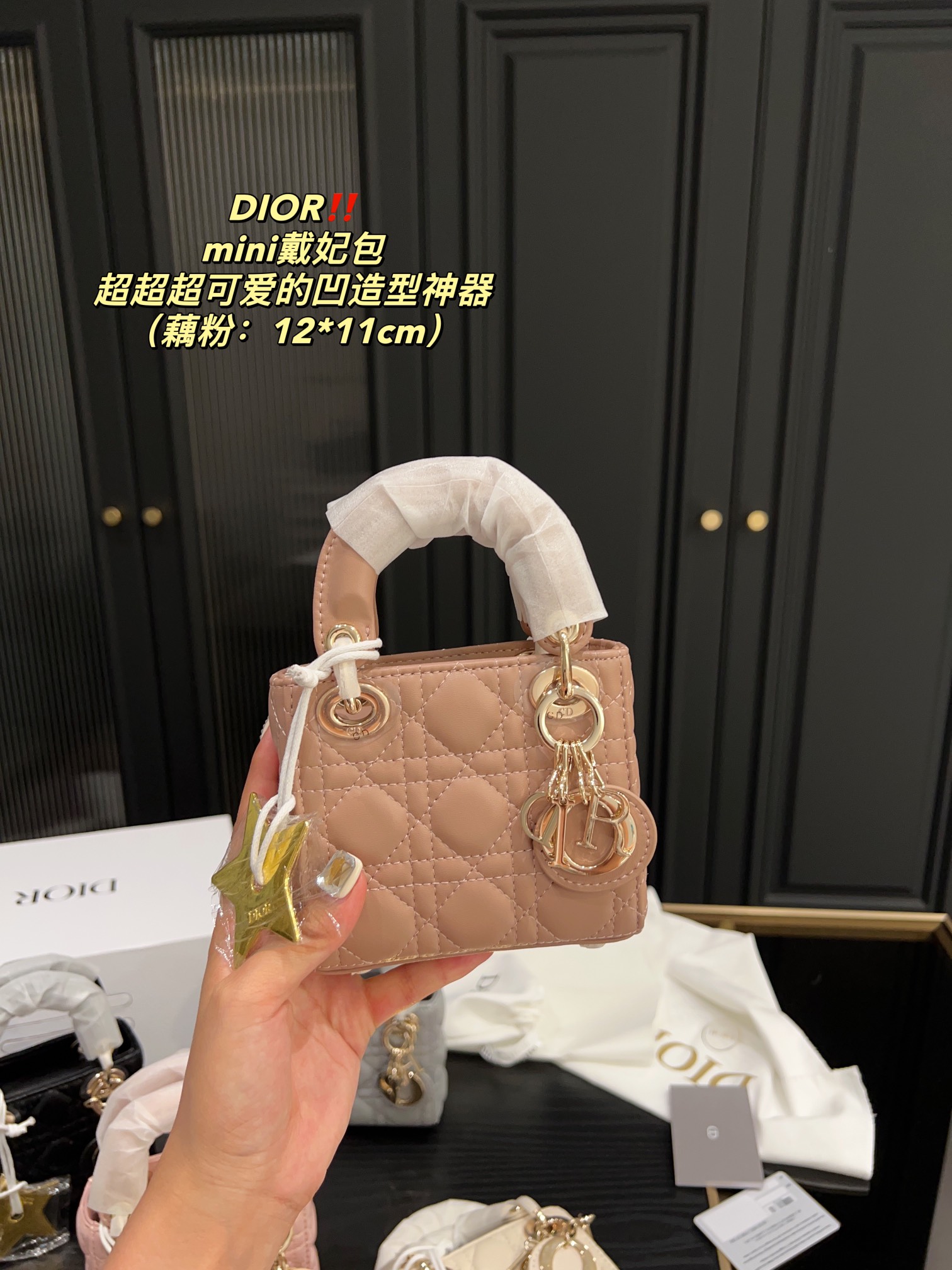 Replica - Dior mini Diana bag