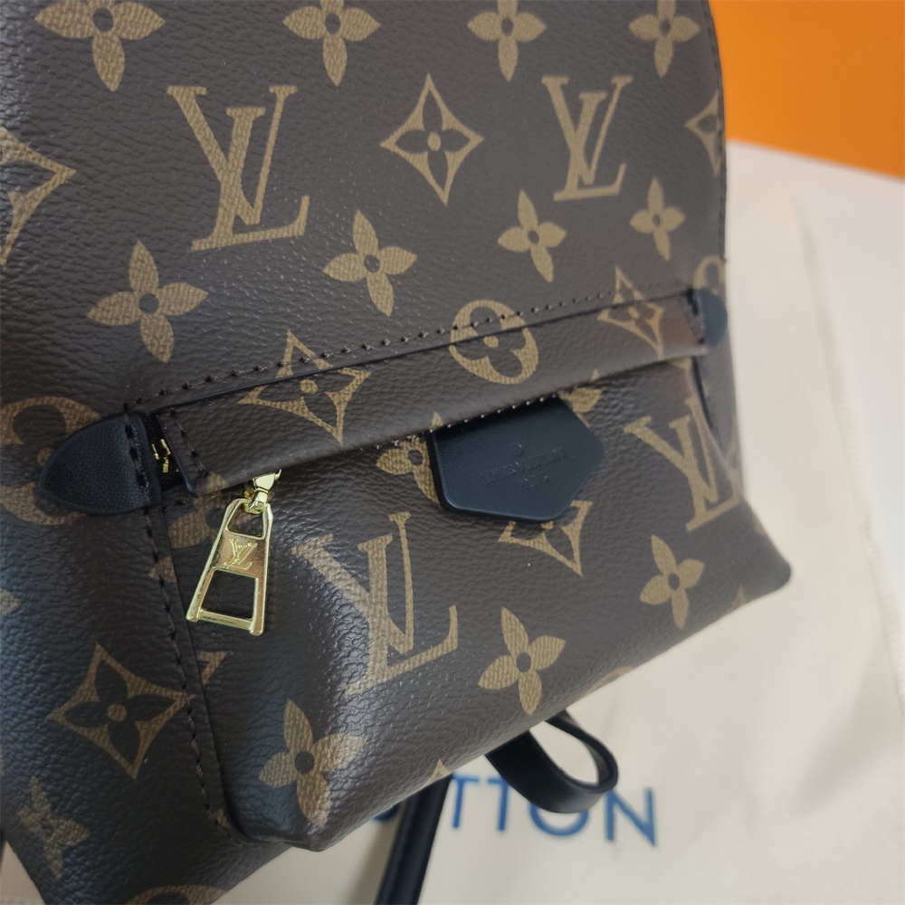LV Replica Louis Vuitton Palm Springs Backpack