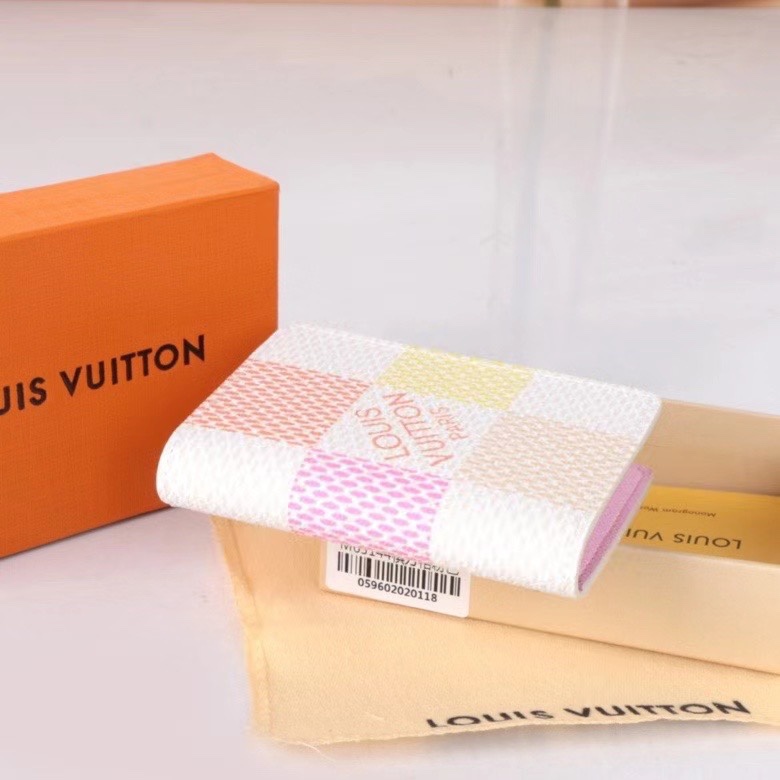 LV Damier Graphite Epi wallet Card holder