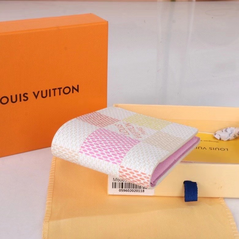 LV Damier Graphite Epi wallet Card holder