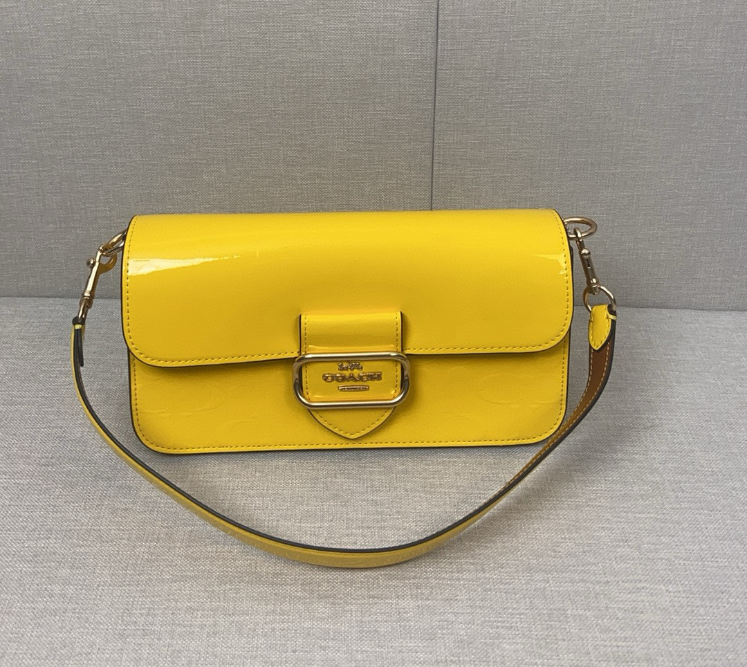 Coach CT856 Tabby Signature bag