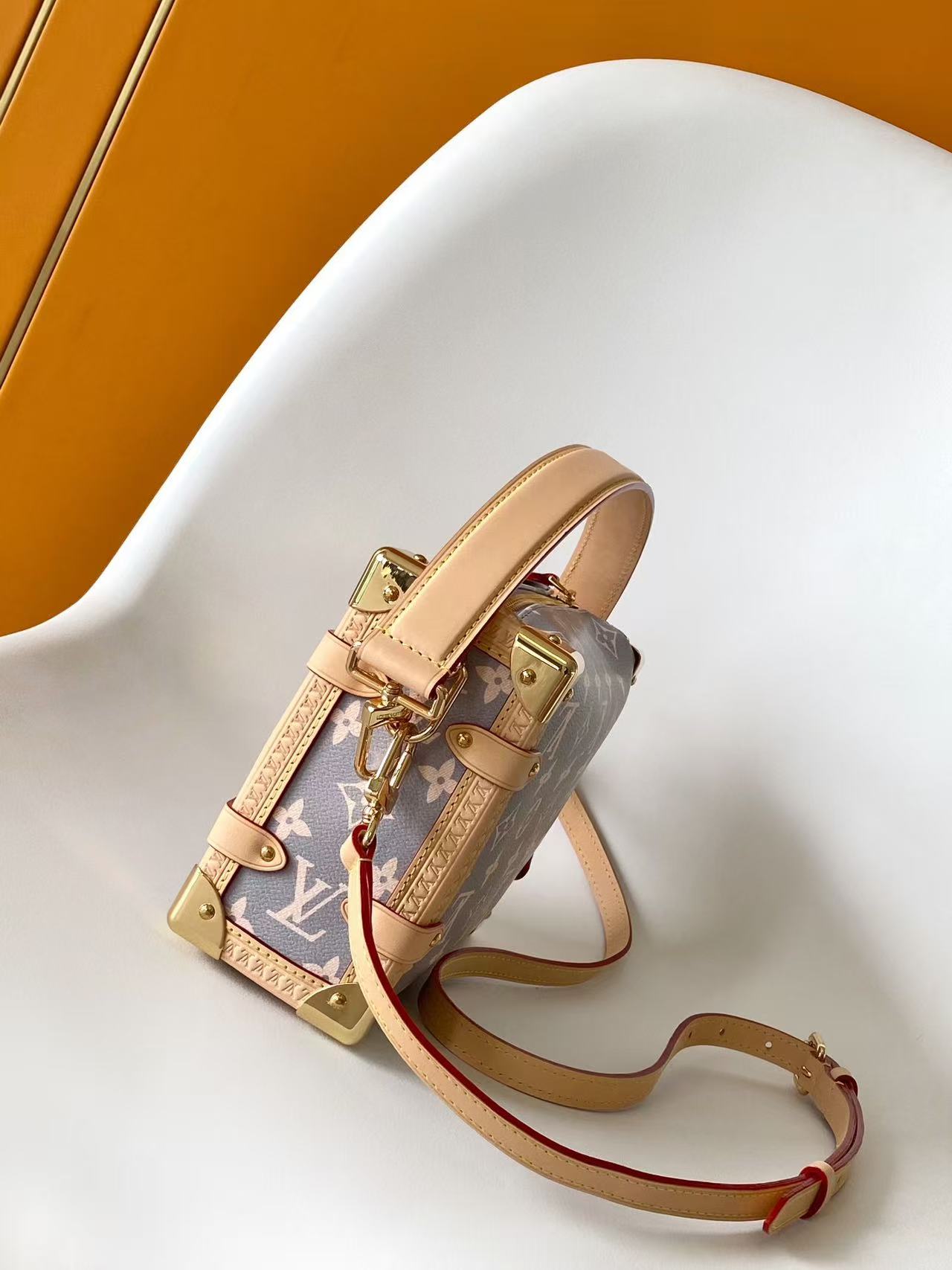 Louis Vuitton side trunk bag