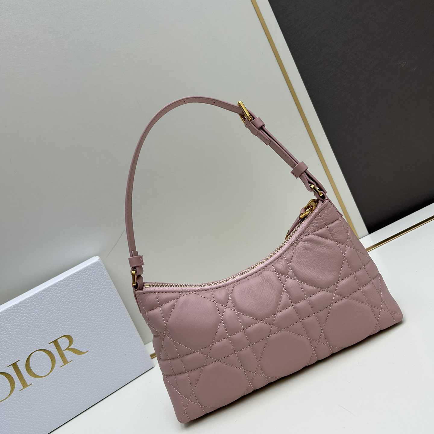 Dior oblique shoulder dumpling bag