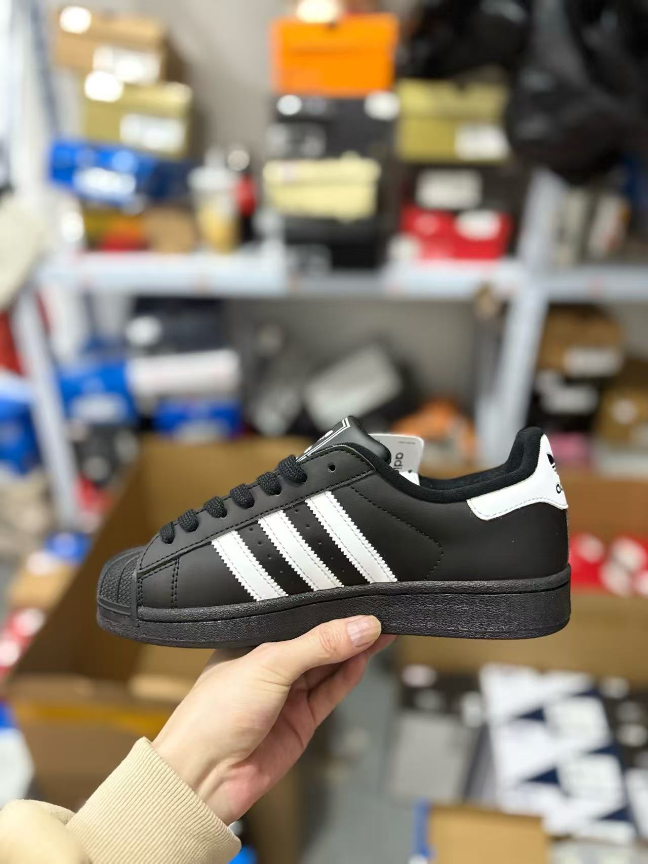 Adidas classic shell shoes