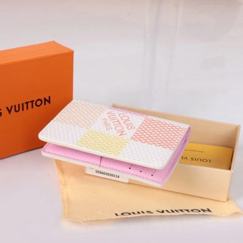 LV Damier Graphite Epi wallet Card holder