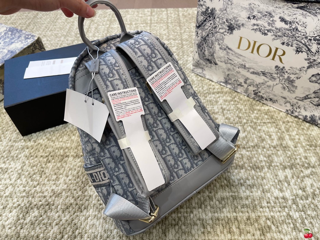 Repica Dior Travel Backpack