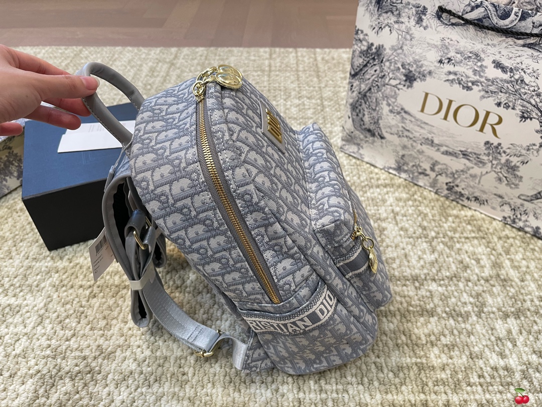 Repica Dior Travel Backpack