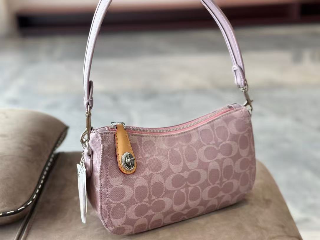 Coach Swinger20 Underarm Bag