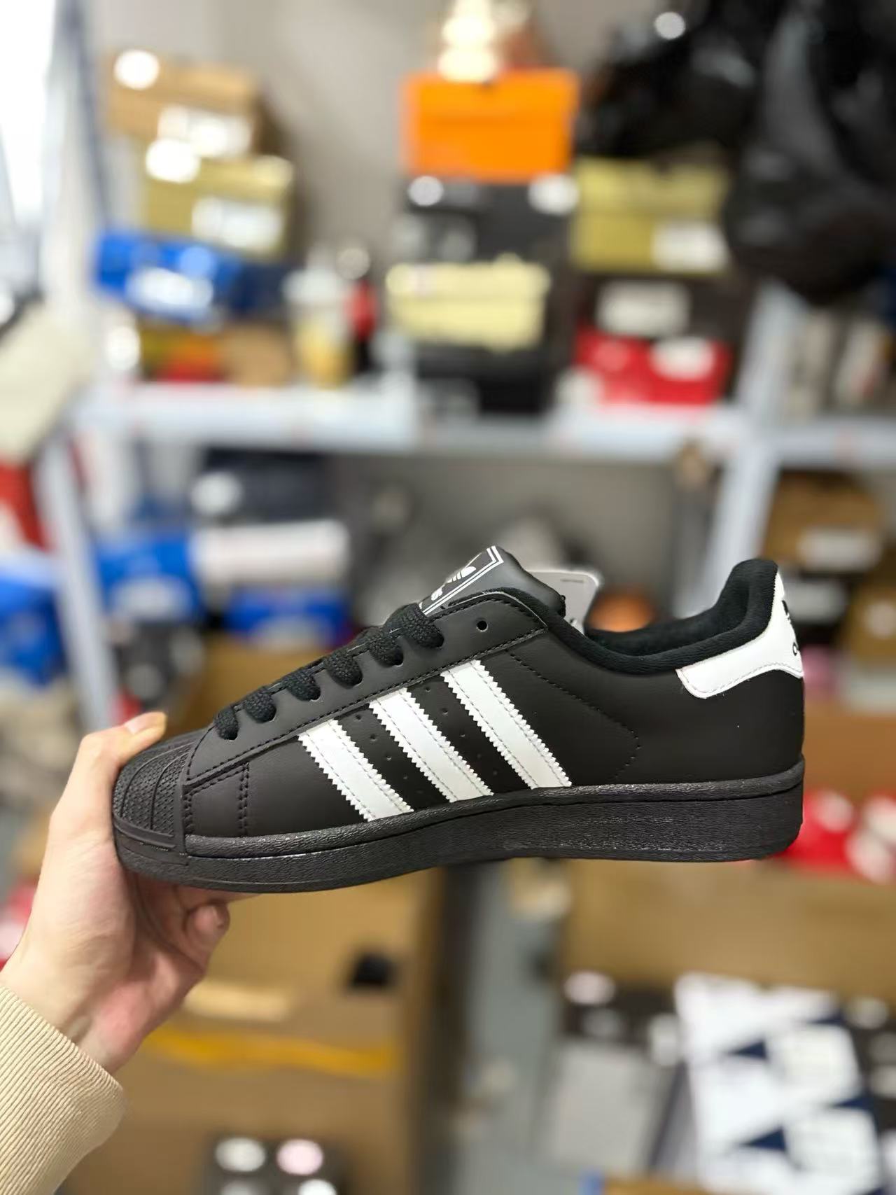 Adidas classic shell shoes