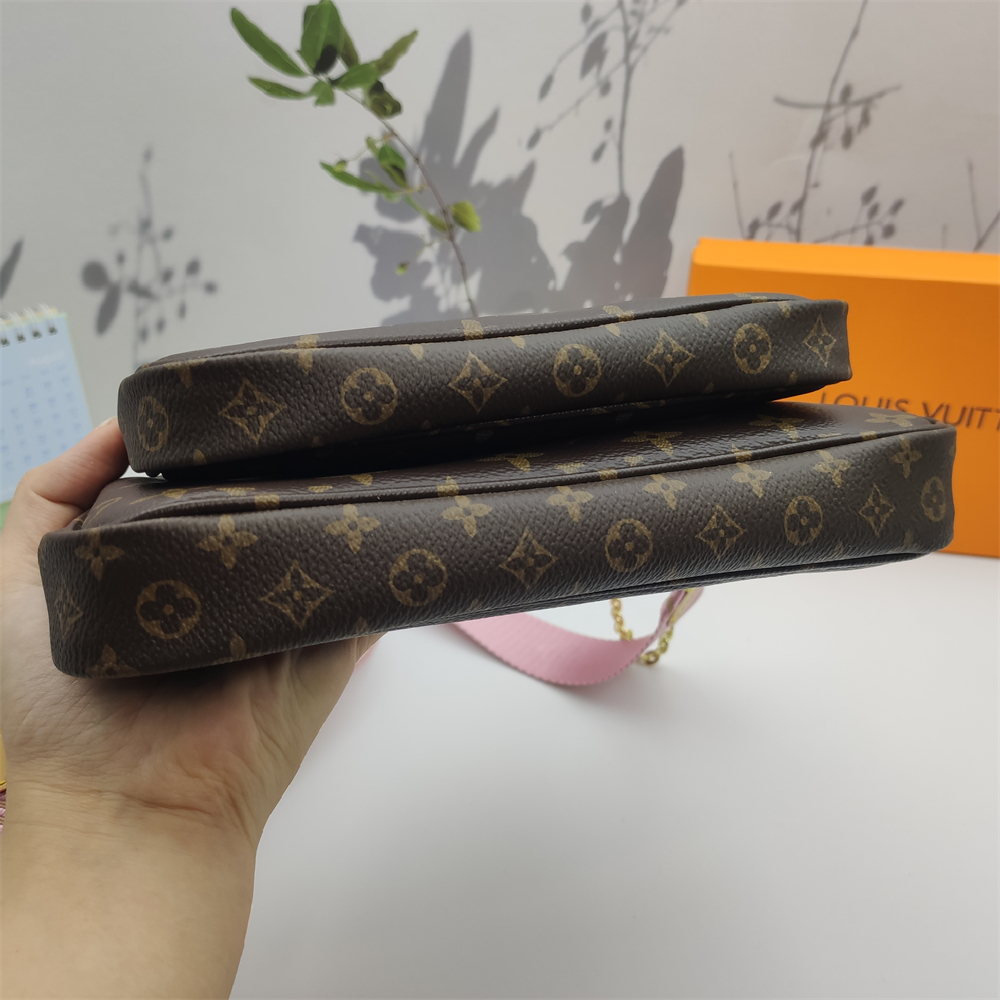 LV Louis Vuitton Multi Pochette Accessories bag