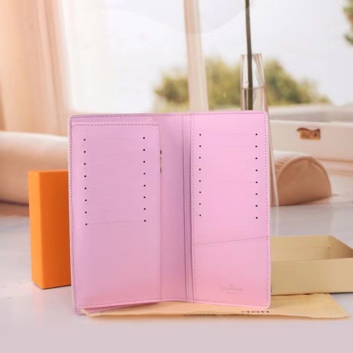 LV Damier Graphite Epi wallet Card holder