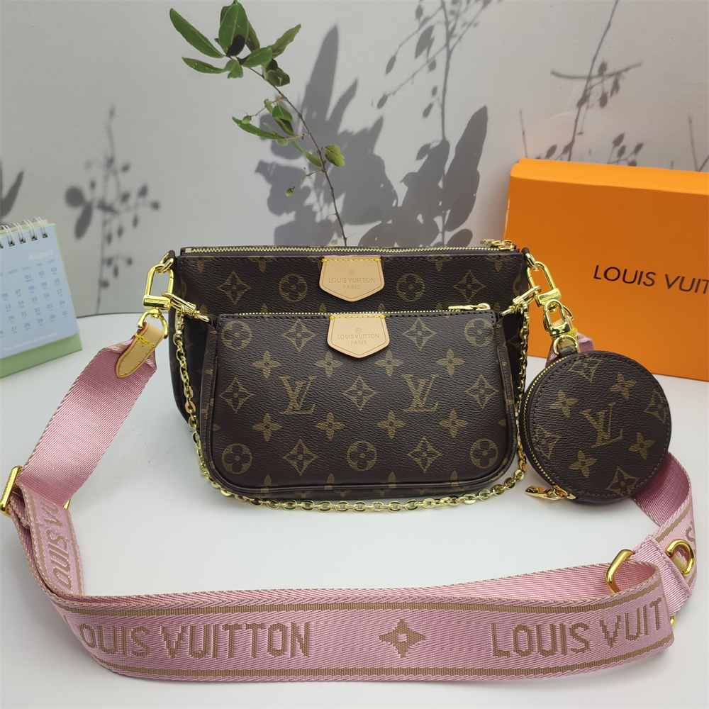 LV Louis Vuitton Multi Pochette Accessories bag