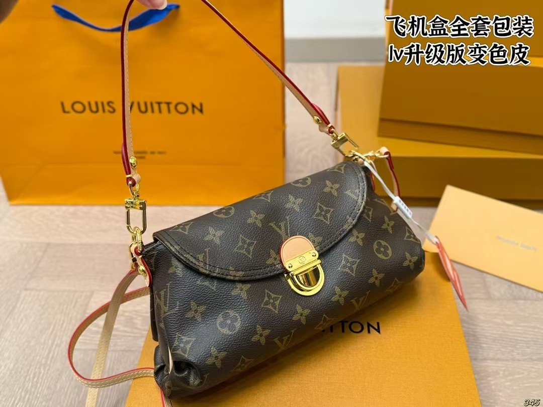LV Speedy handbag