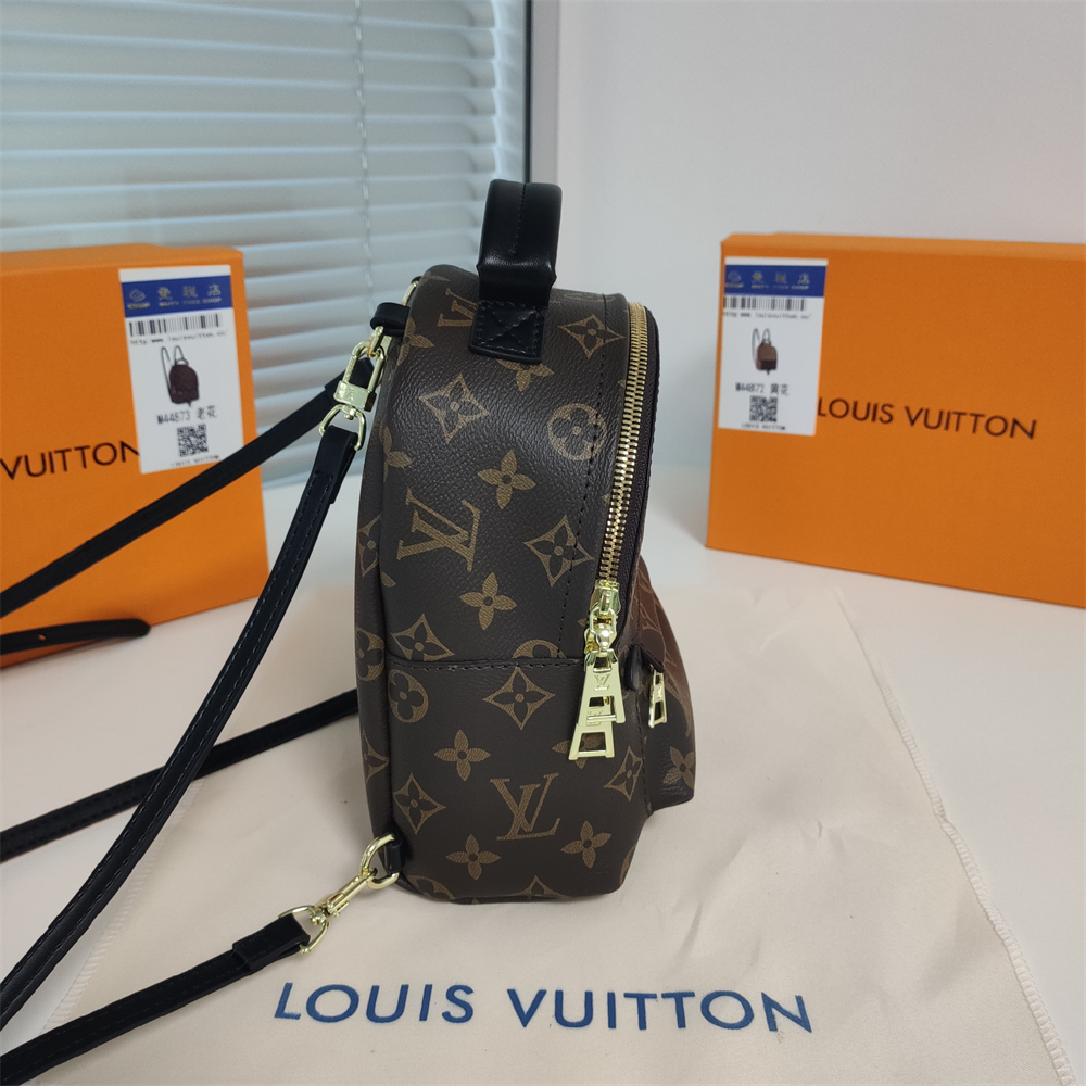 LV Replica Louis Vuitton Palm Springs Backpack