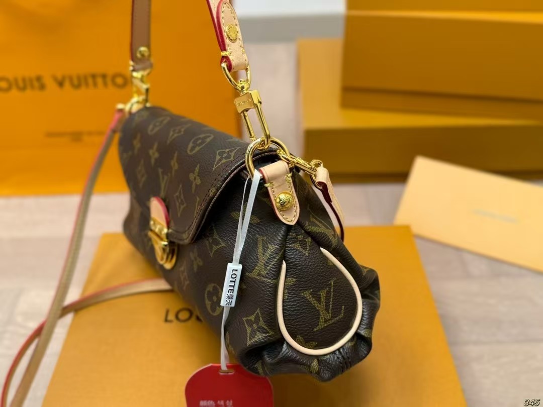 LV Speedy handbag