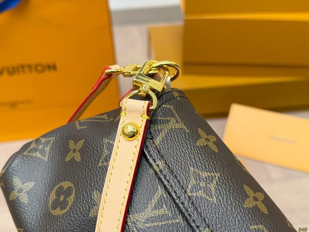 LV Speedy handbag