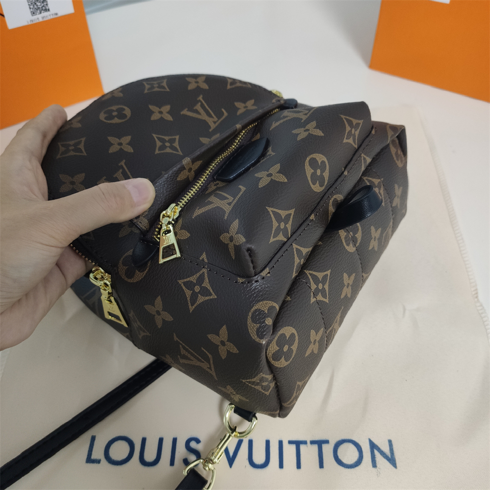 LV Replica Louis Vuitton Palm Springs Backpack