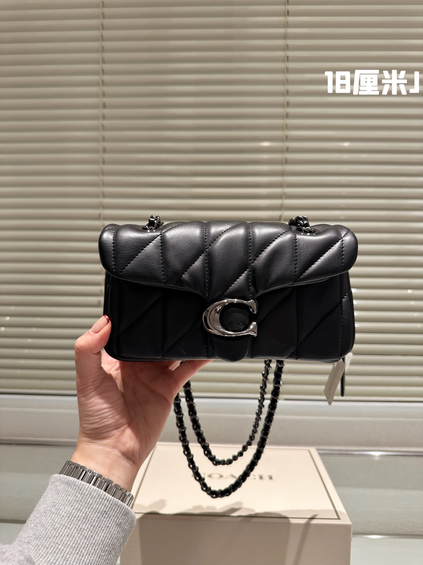 Coach All Black chain Otabby crossbody bag