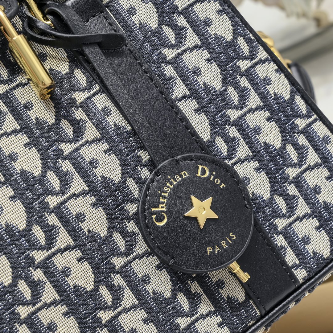 Dior D-Vibe Oblique handbag