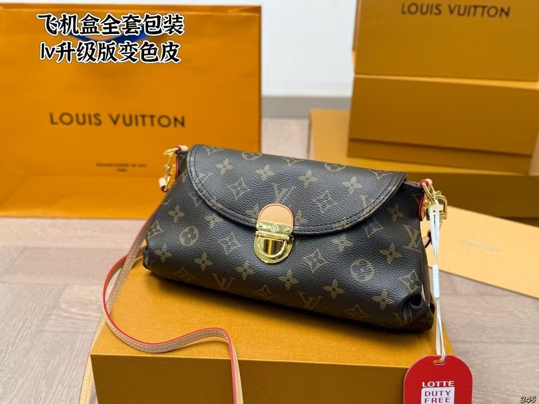 LV Speedy handbag