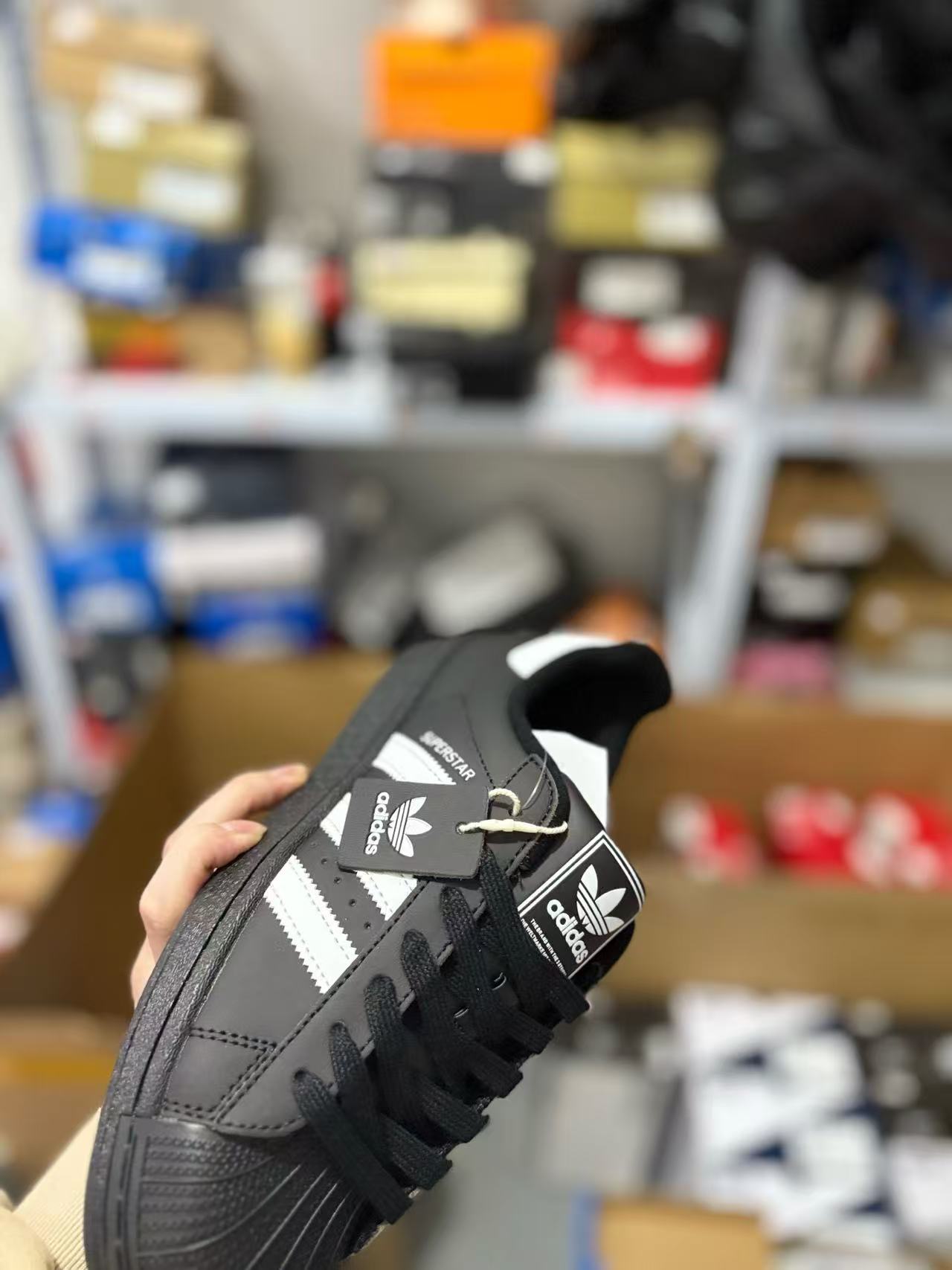 Adidas classic shell shoes