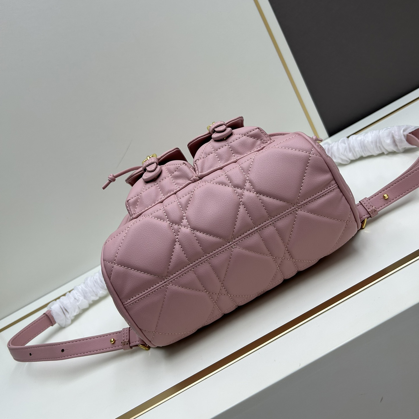 Dior caro shoulder backpack